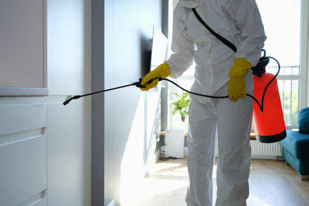 Best Mold Testing  in Ashland, NJ
